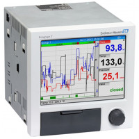Универсальный графический менеджер данных E+H Ecograph T RSG35